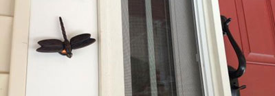 Doorbell Ringers