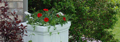 Rain Chains & Bins