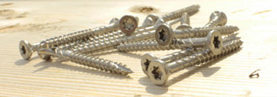 Stainless Steel Screws